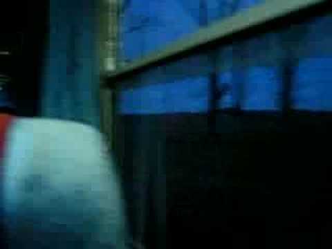 Disco train - music on the local train Jimbolia - Kikinda