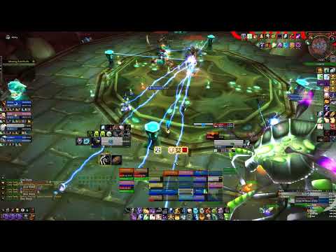 Lady Vashj Kill Post-Nerf Holy Priest PoV