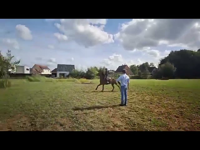 Un Gamin super poney pour enfant 