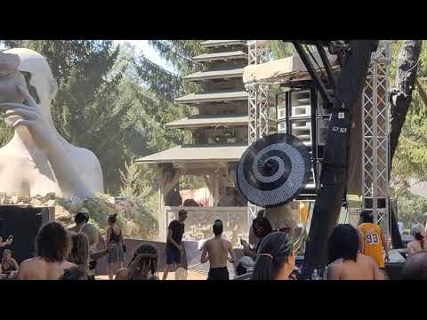 Swamp Stage V 1 Mutation   Dust live Set