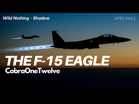 The F-15 Eagle | CobraOneTwelve Specials
