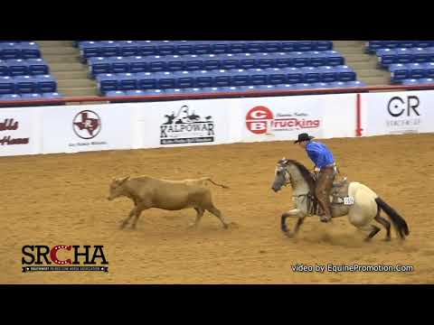 SJR Diamond Hilight shown by Clay Volmer - 2019 SRCHA Pre-Futurity (Cow - Open Futurity)