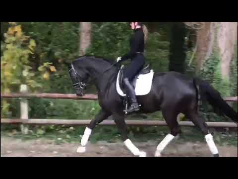 Feldlärche von Farrell - San Amour - Feinbrandt