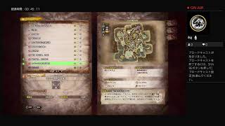 白狼のゲーム部屋パート4　モンハンアイスボーン