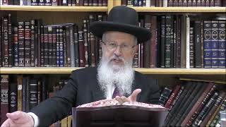 הגאון הרב אברהם יוסף שליט"א כמה כזיתים של מצה צריך לאכול בליל הסדר (הערוץ של הרב אברהם יוסף) - התמונה מוצגת ישירות מתוך אתר האינטרנט יוטיוב. זכויות היוצרים בתמונה שייכות ליוצרה. קישור קרדיט למקור התוכן נמצא בתוך דף הסרטון