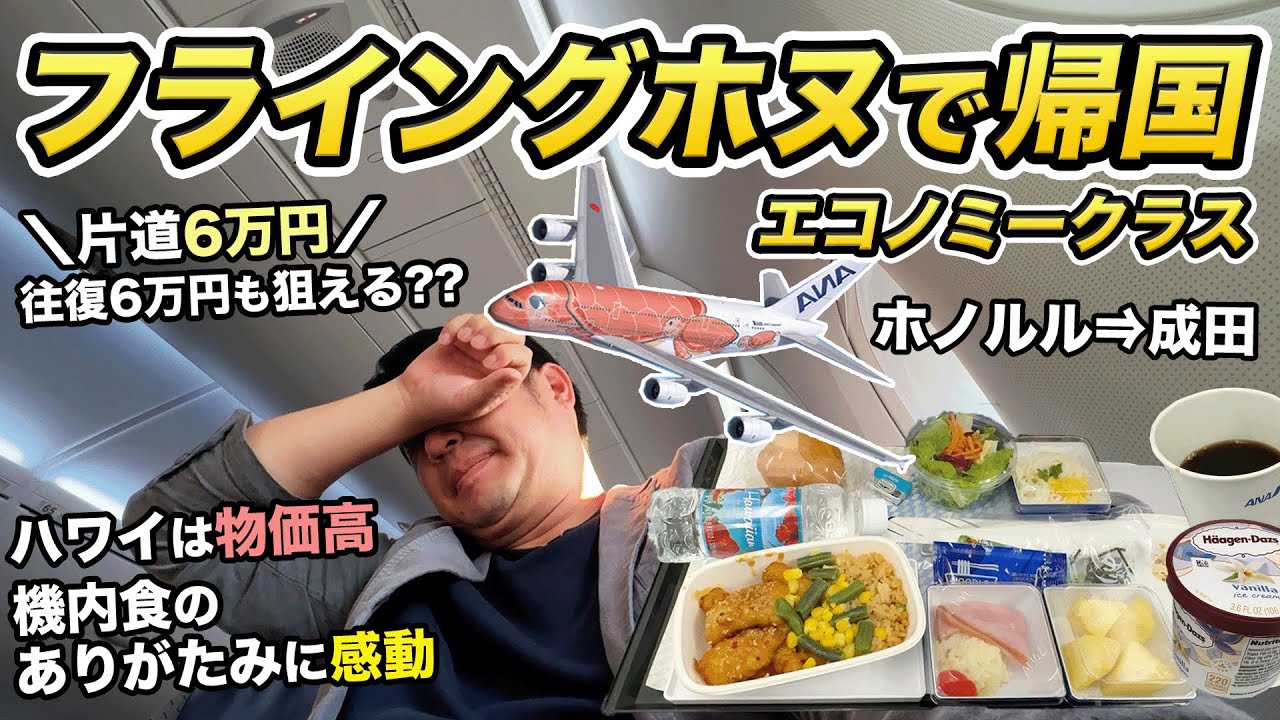 【片道6万円】フライング・ホヌ✈️エコノミークラスで帰国！ホノルル→成田