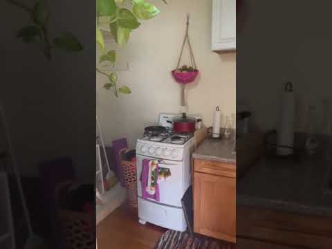 843 S. Mariposa Ave #9