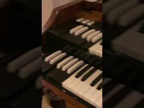 Thumbnail for Public Image Ltd (PiL) - The Making of End of World - Part 5 by Public Image Ltd.