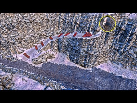 Can Spartans Rescue the Kitten on the hill from Viking Berserkers?  - Ultimate Epic Battle Simulator