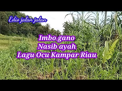 Nasib ayah Imbo gano lagu ocu kampar