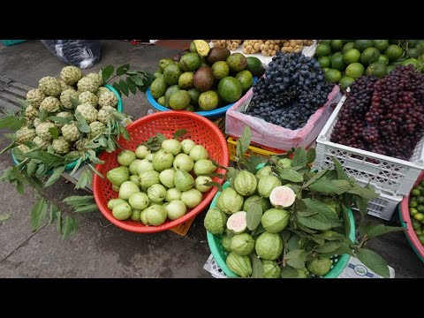 Morning Daily Life STYLE at Phsa Samaki - Morning Food Market Scene @Khan Tuol Kork