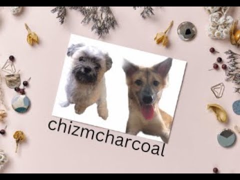 IZLA TAGALOG HORROR COMEDY MOVIE  PAOLO CONTIS & ARCHIE ALEMANYA