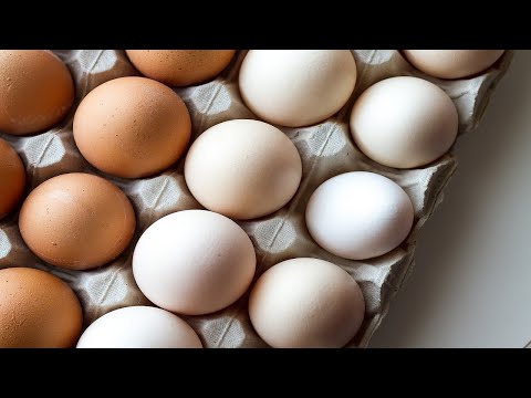 , title : 'So legen deine Hühner mehr Eier!'