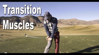 Mastering the Golf Swing Transition: Key Muscle Engagement