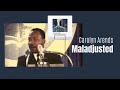 Carolyn Arends - Maladjusted - Lyric Video with MLK "Proud to Be Maladjusted" excerpt