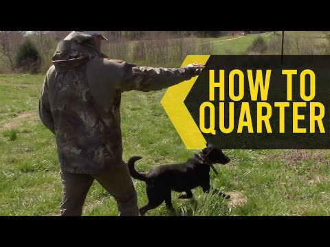 How To Teach Your Dog To Quarter a Field