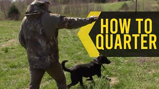 How To Teach Your Dog To Quarter a Field