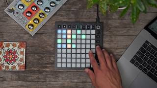 Video thumbnail for RGB LED Pads - Launchpad Mini // Novation by Novation