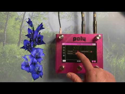 Poly Effects - Digit