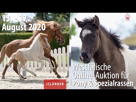 Trailer Online Auktion 13. -17.8.2020 Isländer