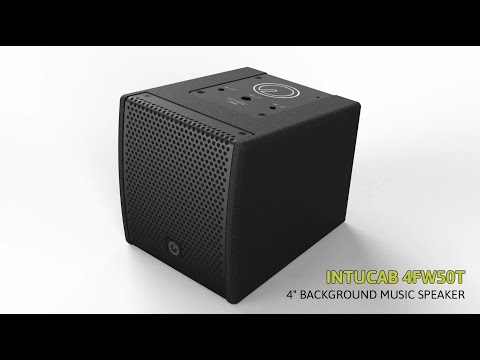 INTUSONIC 4FW50T 4 Zoll Fullrange Lautsprecher schwarz