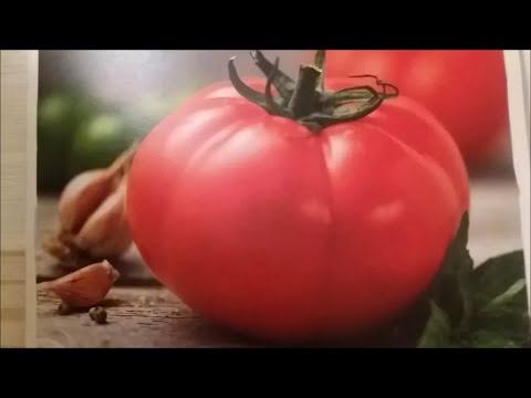 Свежий помидорный соус Кобра!Рецепт с Казахстана!