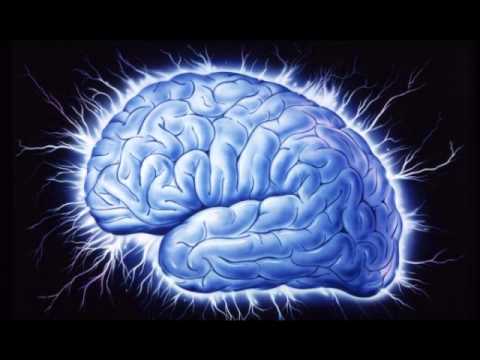 Furii Canes - Stanje uma