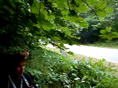 Rally Estonia ss2 Markko Märtin tuiskab mööda