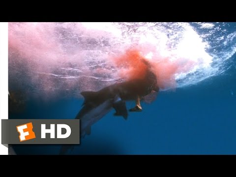 Into the Blue (11/11) Movie CLIP - Shark Saves the Day (2005) HD