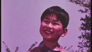 Cranes - Pale Blue Sky