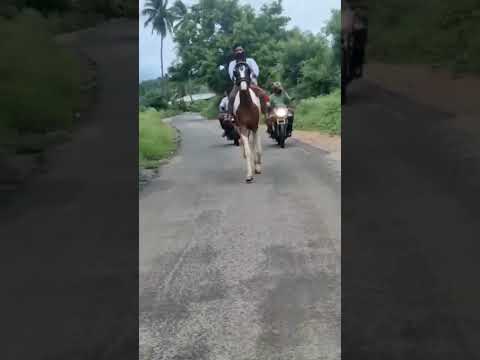 Ponge Nadhi-Ponniyin Selvan: I (Telugu)-AR Rahman-New Trend-Trending Song #shorts