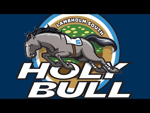 Gulfstream Park: Lambholm South Holy Bull