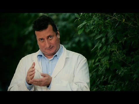 Wie entstehen Jahrringe