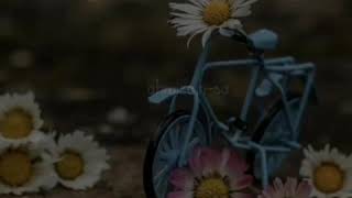 Download lagu status wa kapten dan ibu negara bikin baper || cita itu rumit mp3 Download lagu status wa kapten dan ibu negara bikin baper || cita itu rumit mp3