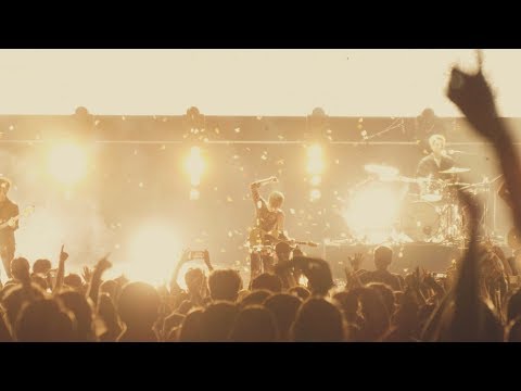 2019 파크콘서트 - 넬(NELL) / Ocean Of Light