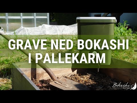 Grave ned bokashi i pallerkarm