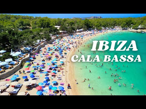 Cala Bassa, Ibiza. The beach seen from above.