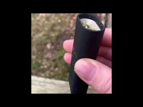 Ryot Verb-DHV (Preview)