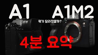 SONY 알파 A1 II (바디, 정품)_동영상_이미지