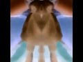Wimpy Goat Enhanced With CoNfUsIoN