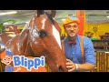 Blippi Explores Jungle Animals Educational Videos For Kids Blippi And Meekah Kids TV
