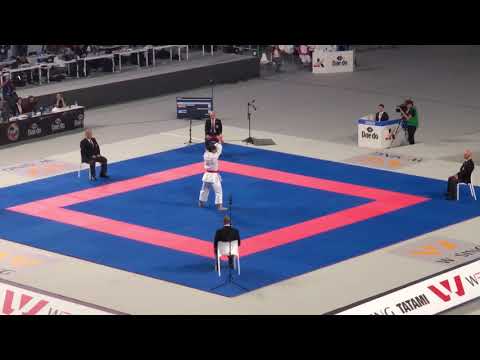 Damian Quintero (ESP) Vs Ryo Kiyuna (JPN) Final Male Kata WKF World Karate Championships 2018