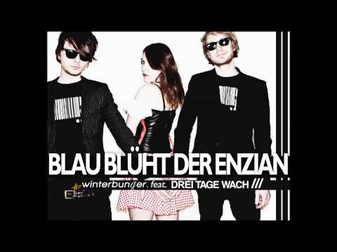 BLAU BLÜHT DER ENZIAN - #winterbunger. (DAS KOMMANDO) feat. DREI TAGE WACH ///
