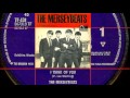 I Think Of You - The Merseybeats 