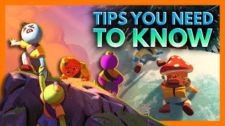 PEAK - 3 Beginner Tips You Need to Know