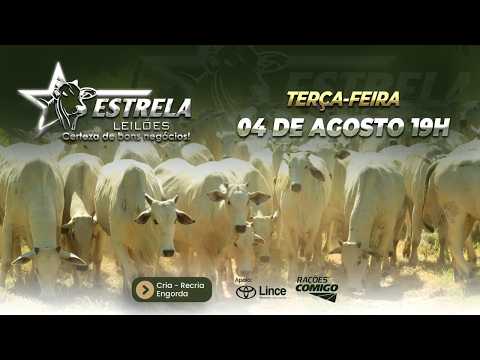 ESTRELA LEILÕES  - AO VIVO - 04/08/2026  -  19H - MORRINHOS - GOIÁS