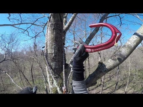 Tree to Tree Traverse & Gear Updates - Homemade Knee Ascender, Tending pulley for Hitch Hiker, MARCS