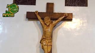 HOMILÍA DOMINGO DE RAMOS 2018 - Padre Marco Ocaña Director de OMP - Oruro