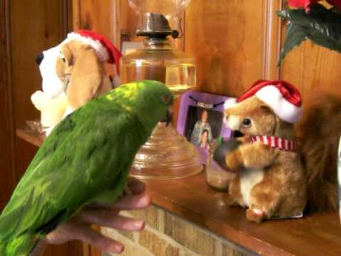 Cassidy Christmas songs