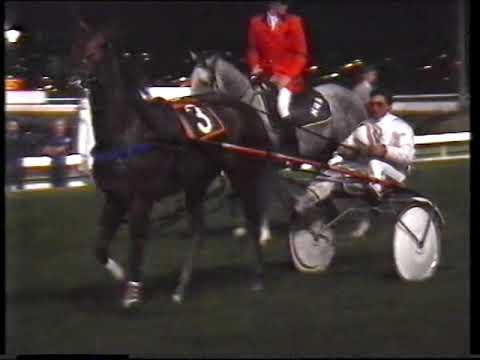 1987 Australasian Pacing Derby